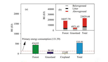 地理資源所揭示中國(guó)陸地生態(tài)系統(tǒng)生物能值時(shí)空動(dòng)態(tài)分布規(guī)律與生物質(zhì)能資源數(shù)據(jù)庫信息系統(tǒng)的構(gòu)建